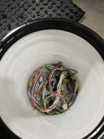 harness in bucket.jpeg harness in bucket.jpeg