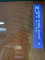 IMG_8993.jpeg