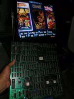 IMG_20230619_105253.jpg