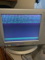 IMG_2838.jpeg
