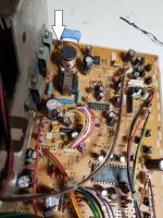 20230624_092419.jpg