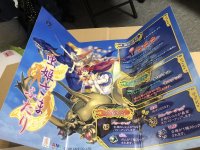 IMG_7275.jpeg