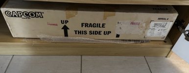 IMG_6164.jpeg