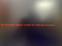 IMG_6305.jpeg