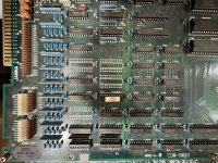 IMG_6165.jpeg