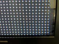 IMG_7466.jpeg