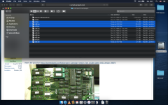 Screen Shot 2023-12-23 at 8.27.57 AM.png