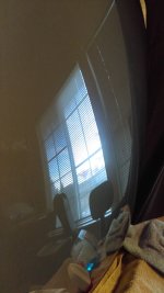 IMAG1355.jpg