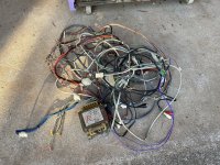 IMG_0244.jpeg IMG_0244.jpeg