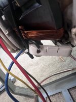 IMG_6159.jpeg