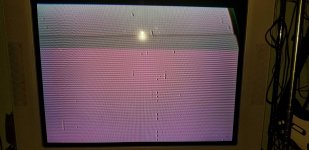 20190427_193237-min.jpg