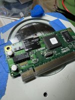 IMG_8095.jpeg IMG_8095.jpeg