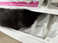 IMG_8945.jpeg