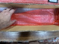 IMG_8934.jpeg