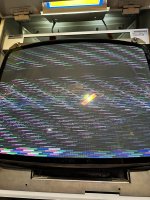 IMG_2781.jpeg