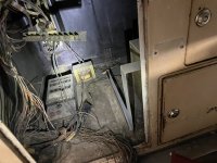 IMG_5817.jpeg
