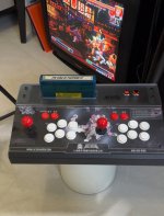 IMG_8186.jpeg