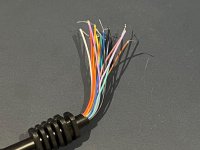 IMG_6750.jpeg IMG_6750.jpeg
