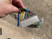 IMG_3695.jpeg