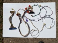 IMG_3701.jpeg