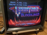 IMG_6092.jpeg