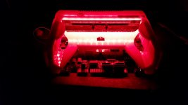 20190825_064552.jpg