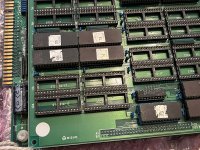 IMG_6941.jpeg
