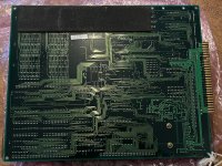 IMG_6942.jpeg