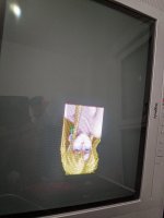 IMG_20251009_194140.jpg
