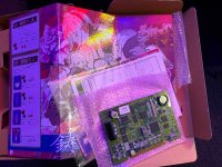 IMG_5360.jpeg