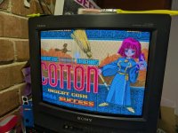 cotton-2.jpg