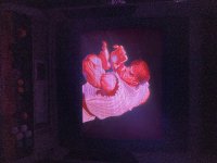IMG_8058.jpeg
