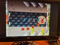 IMG_4631.jpeg
