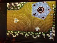 IMG_4655.jpeg