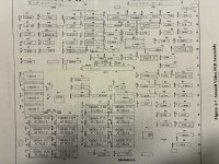 IMG_4688.jpeg