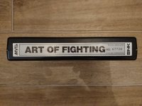 Art Of Fighting.JPG