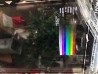 IMG_9148.jpeg