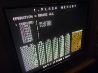 IMG_0134.jpeg