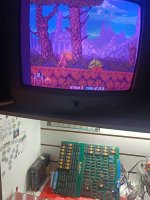 75c00c80-afca-4208-af58-d31e10b3e7a7.jpg
