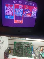 79087f86-077b-4bde-a21d-42494d83430f.jpg