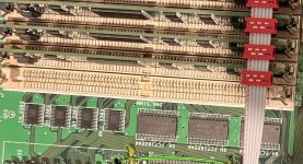 IMG_0141.jpeg
