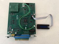 IMG_2907.jpeg