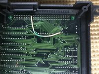 IMG_6351.JPG