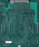 dangun_feveron_back.jpg