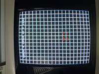 IMG_1050.jpeg