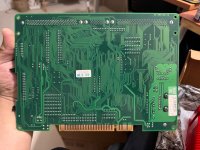 IMG_0363.jpeg