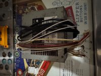 IMG_7871.jpeg