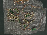 IMG_5973.jpeg