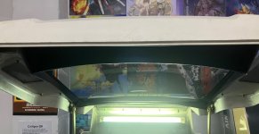 IMG_3735.jpeg