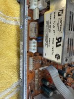 IMG_2343.jpeg
